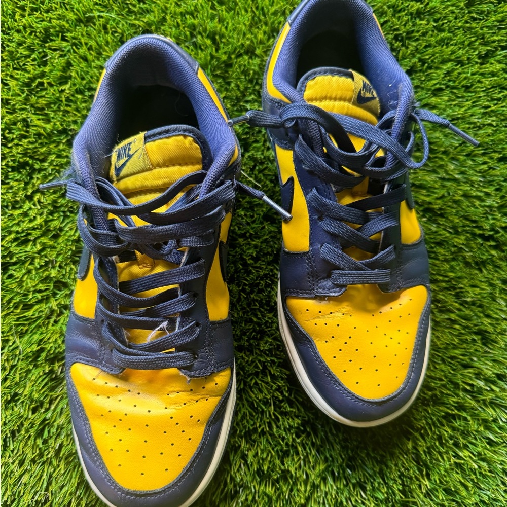 Nike Dunks